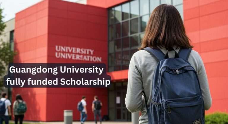Guangdong University of Finance & Economics (GDUFE) Scholarship 2025